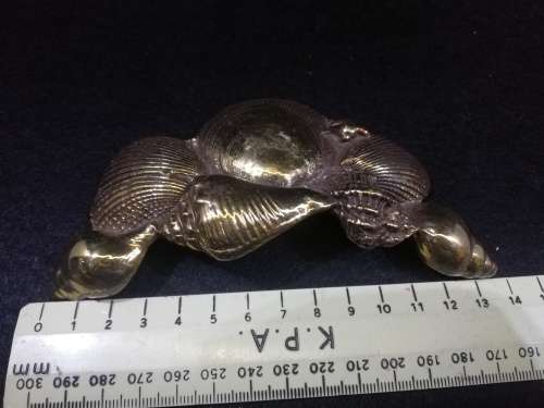 Brass Shell  belt buckle