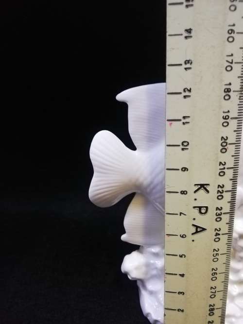 Beautiful porcelain fish