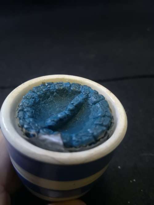 TG Green Salt shaker  Cornish Blue