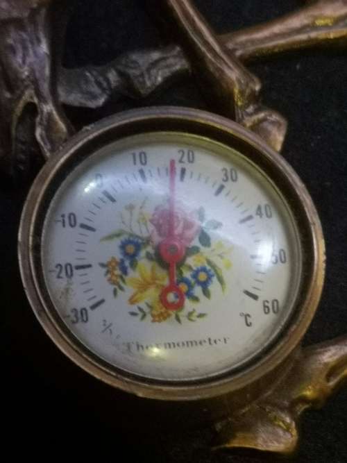 Horse Krugersdorp thermometer - copper