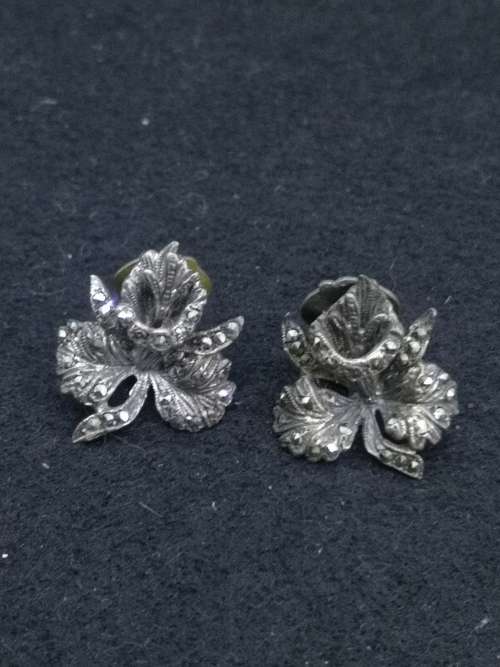 Brooch -rather big! and earrings to match