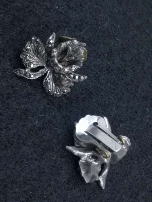 Brooch -rather big! and earrings to match