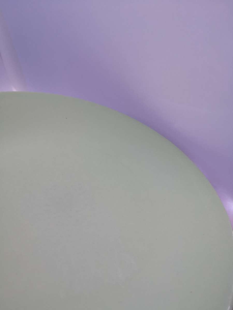 Continental China green dinner plates