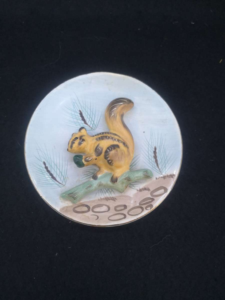 Squirrell wall pocket