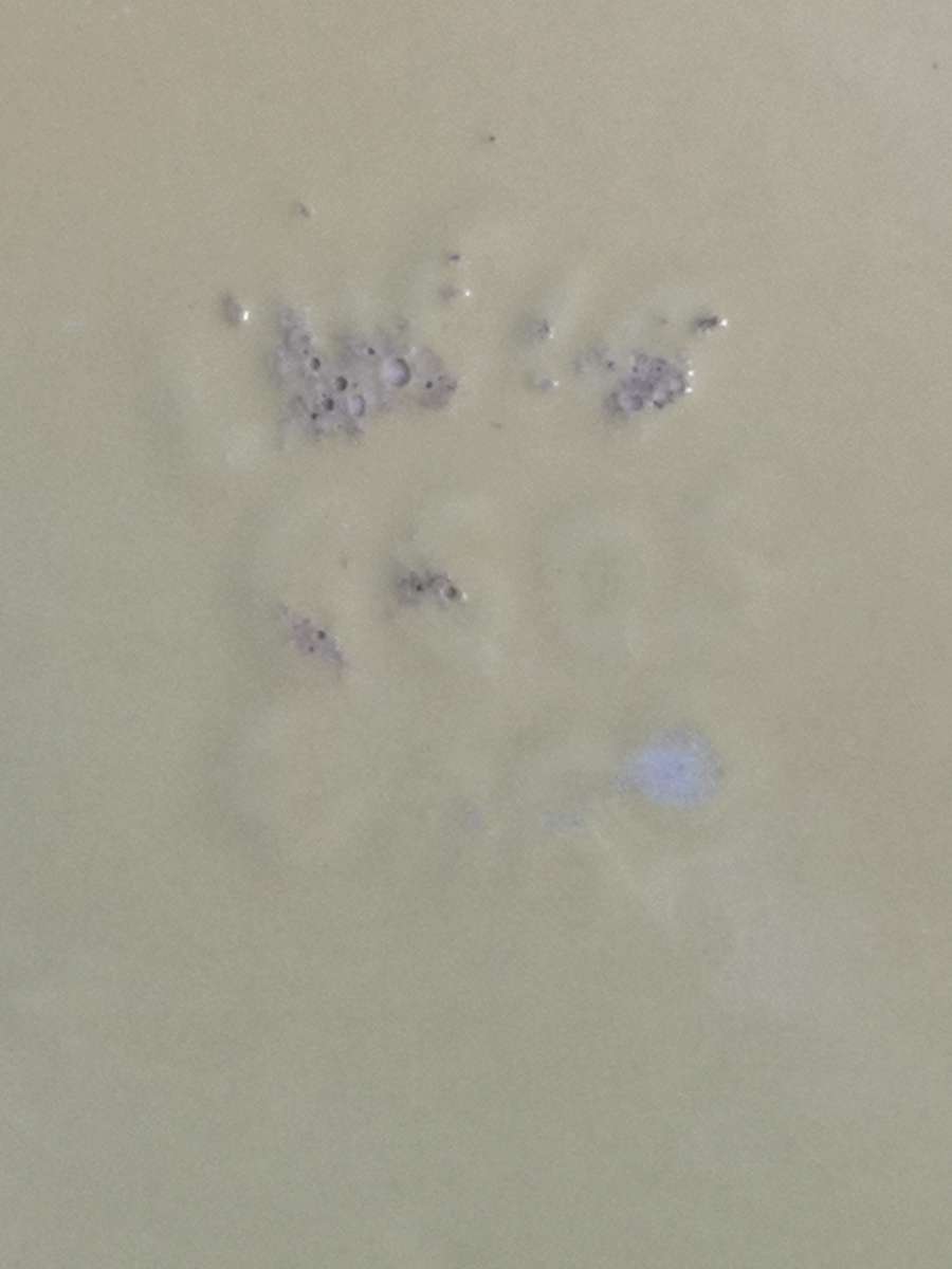 Stunning Lucia Ware yellow vase