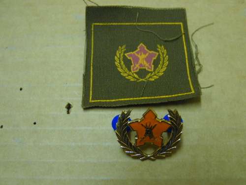 5 YEAR RESERVE FORCE BADGE CLOTH AND PIN ON BADGE