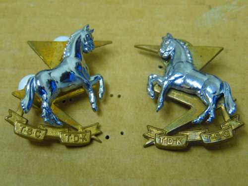 TECHNICAL SERVICE CORPS COLLAR BADGE SET