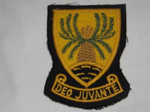 4 SA INFANTRY CLOTH BADGE