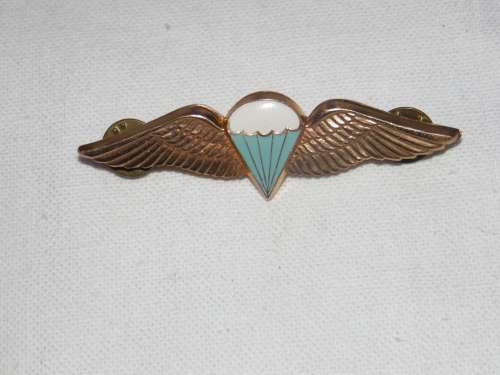 SA PARATROOPER BASIC WING