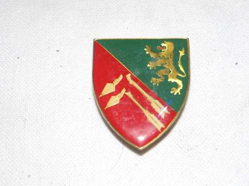 SWA POCKET FLASH 91 AMBULANCE BRIGADE ALL PINS