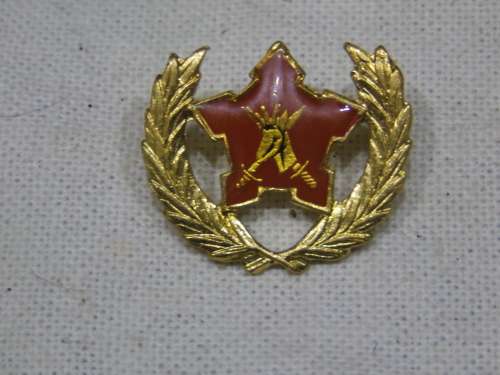 5 YEAR RESERVE FORCE BADGE ALL PINS