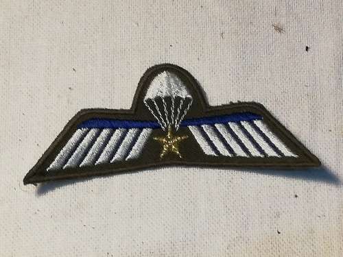 INTERNATIONAL PARATROOPER WINGS
