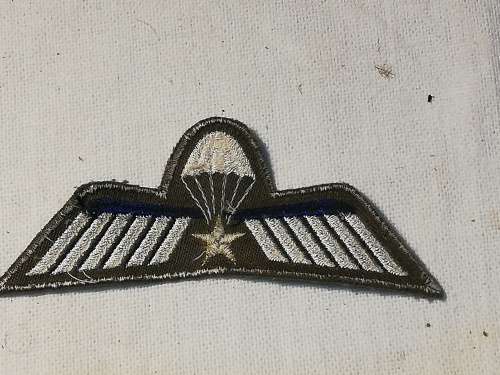 INTERNATIONAL PARATROOPER WINGS