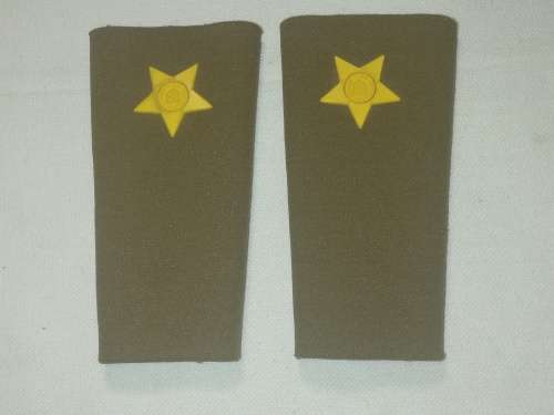 SADF LIEUTENANT RUBBER RANK SET