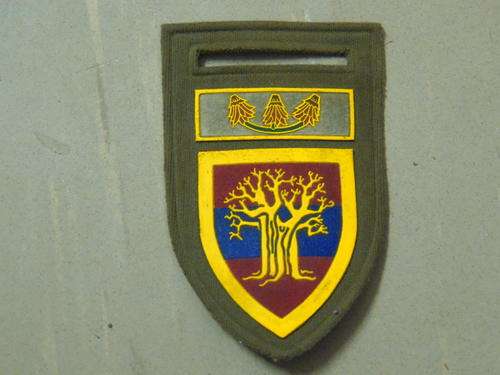 10 ENGINEERS REGIMENT WITH FAR NORTH COMMAND BAR ALL PINS