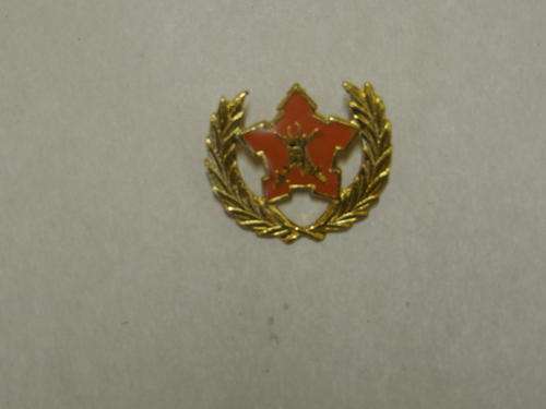 5 YEAR SERVICE COMMANDO`S BADGE ALL PINS