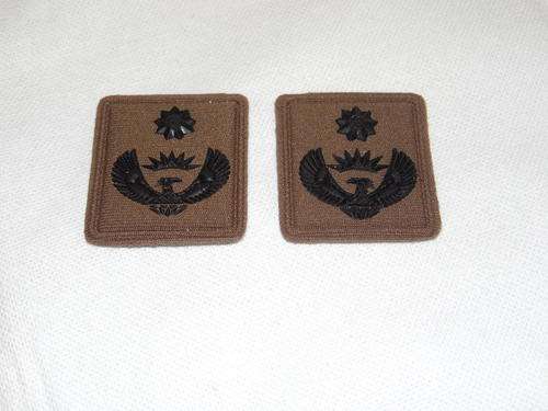 SANDF LIEUTENANT COLONEL COLLAR RANK SET
