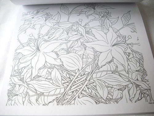 COLOUR-IN THERAPY GIFT PACK