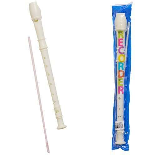 1 x Flute & Flute Cleaner