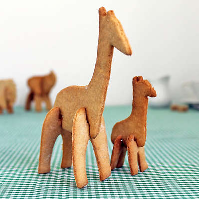 1 X 3D SAFARI ANIMAL COOKIE CUTTER