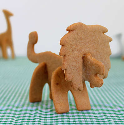 1 X 3D SAFARI ANIMAL COOKIE CUTTER