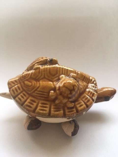 TORTOISE CERAMIC