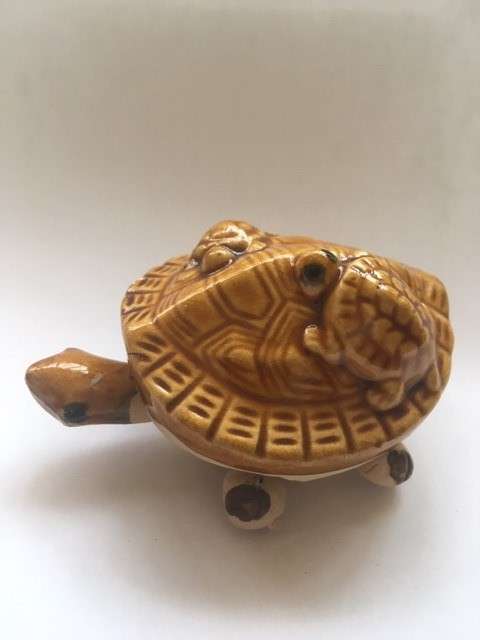 TORTOISE CERAMIC