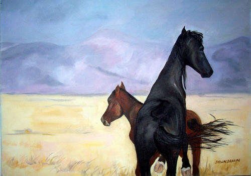Wild horses of Aus  - 500x700x44mm - by DAWN BRAUN