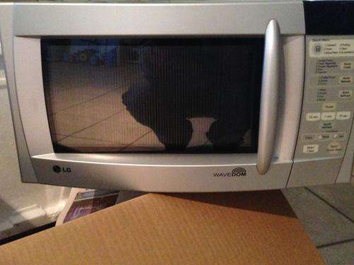 Microwave faulty