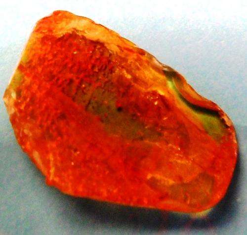 Amber fossil with insect inclusion