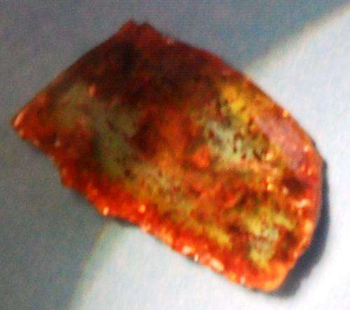 Rare fossil amber with double inclusion