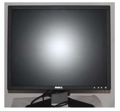 Dell 19" LCD Monitor