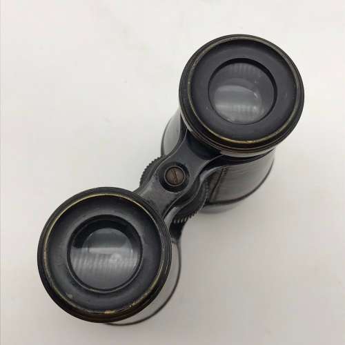Vintage Binoculars in Leather Case