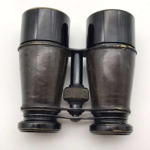Vintage Binoculars in Leather Case