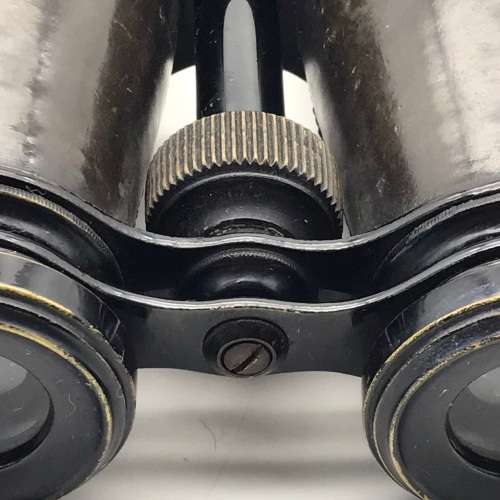 Vintage Binoculars in Leather Case