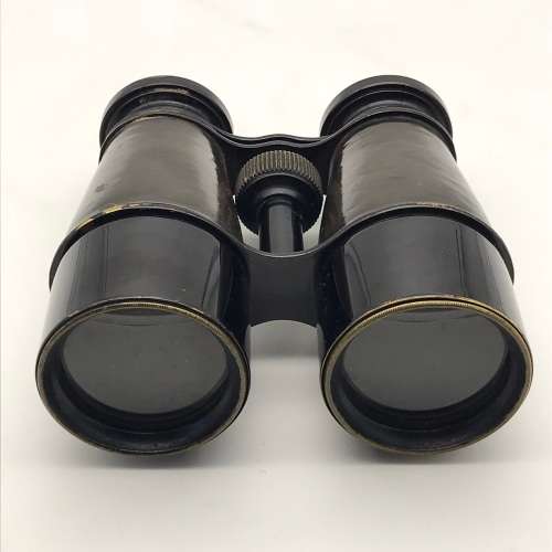 Vintage Binoculars in Leather Case