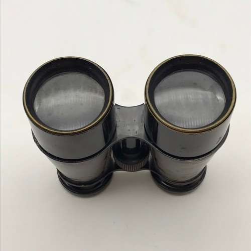 Vintage Binoculars in Leather Case