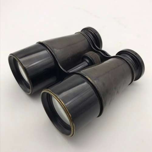 Vintage Binoculars in Leather Case