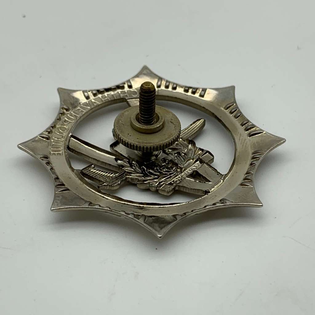 Dutch Airport `Luchthaven Polite` Police Cap Badge