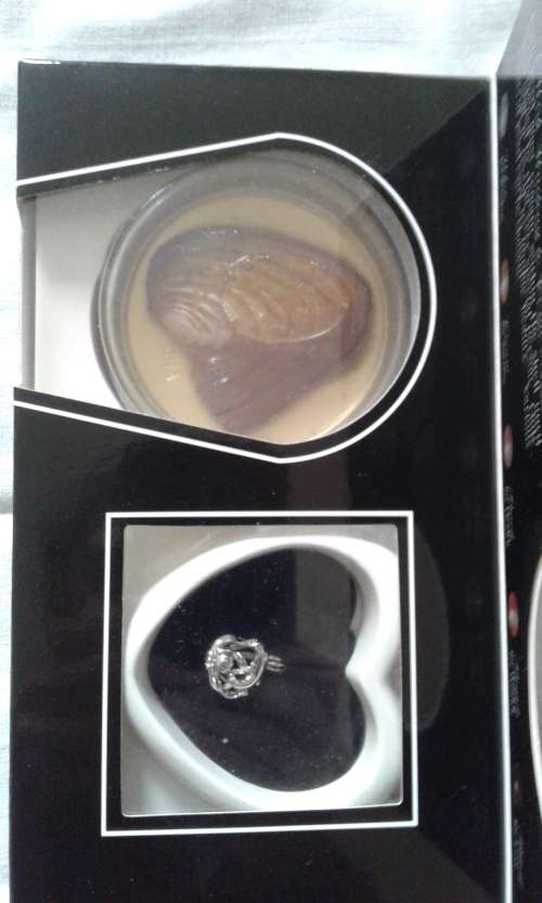 Cultured Pearl and Necklace/Pendant Gift Set  - New!!