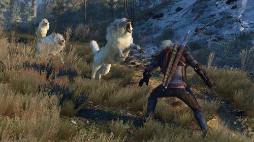 The Witcher 3 Wild Hunt ps4