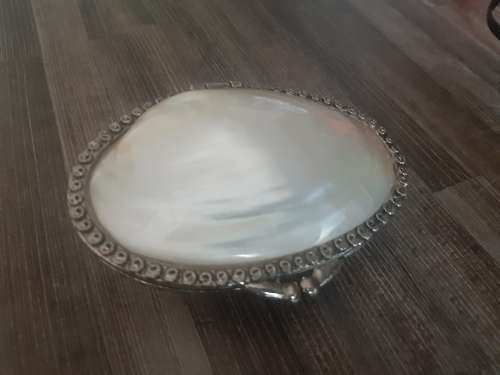 Stunning shell holder!!!   A unique holder!!!