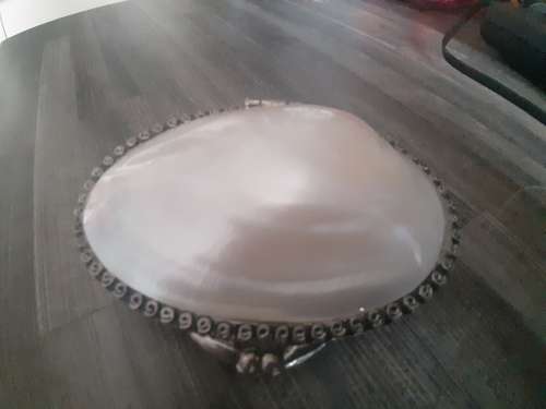 Stunning shell holder!!!   A unique holder!!!