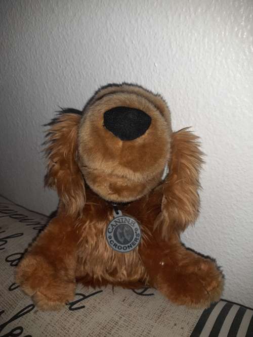 Stunning vintage Singing dog!