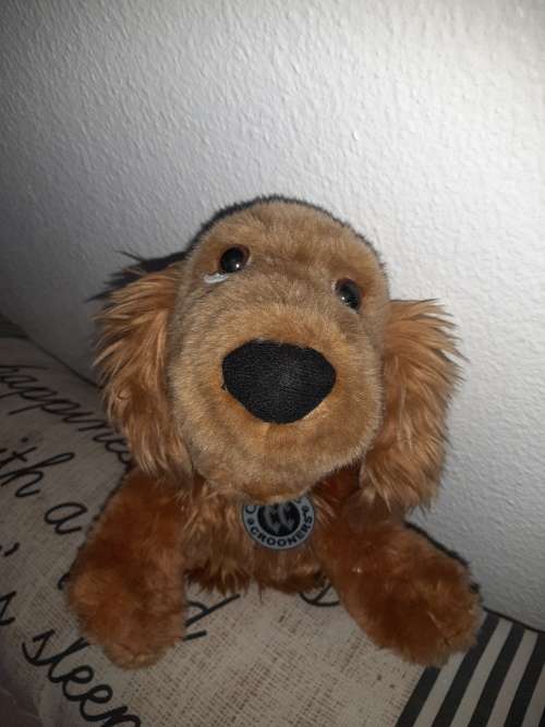 Stunning vintage Singing dog!