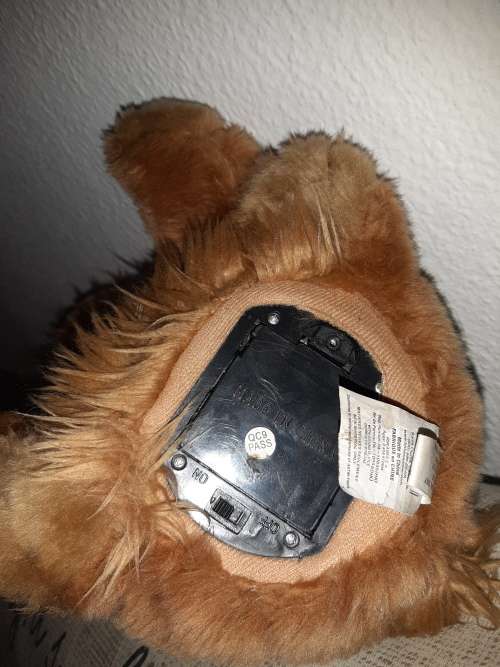 Stunning vintage Singing dog!