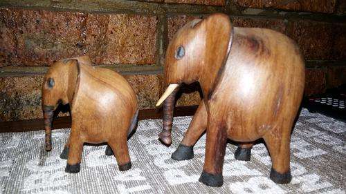 Two gorgeous Elephants!