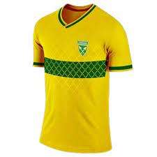 Golden Arrows Away Jersey X-Large