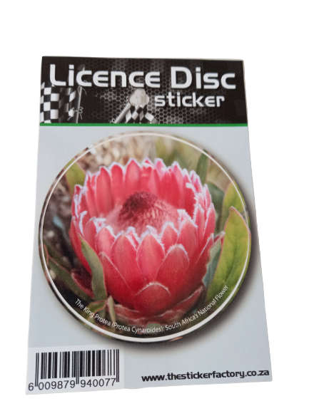 Licence Disc Sticker - Protea