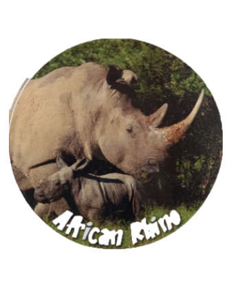 Licence Disc Sticker - African Rhino